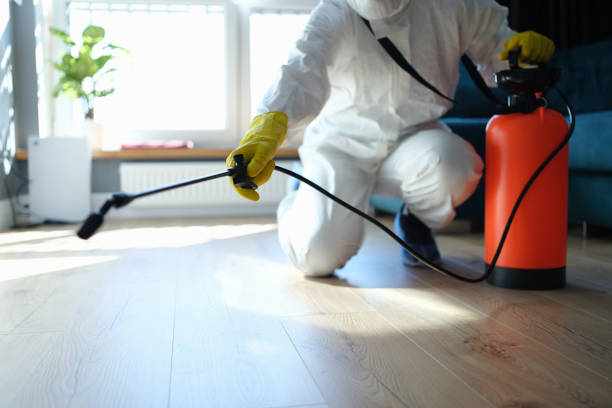 Reliable Biohazard contractor in Smith, NV by Trauma Clean Pros